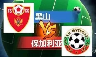 午夜国产在线视频