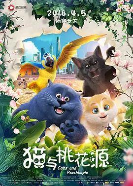 台湾佬视频