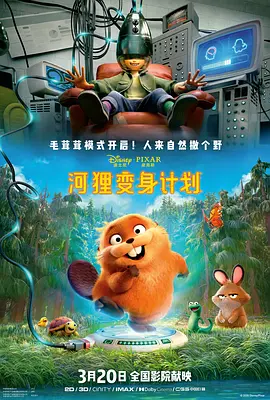 在海滩上的两个人
