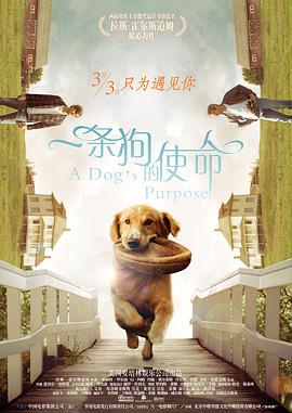 英语辅导员