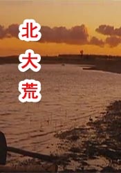 中文字幕成人网