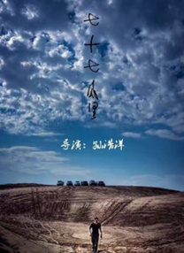 久久少妇视频