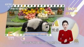大香伊人久久精品一区二区